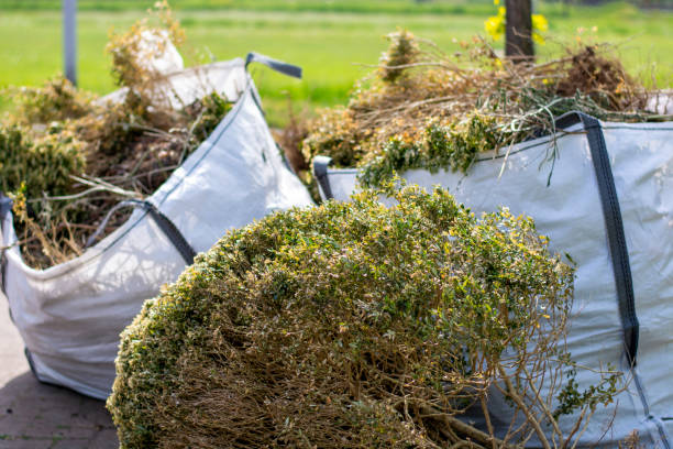 Best Shed Removal  in Kingsport, TN