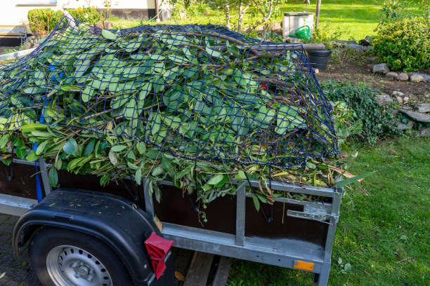 Best Yard Waste Removal  in Kingsport, TN